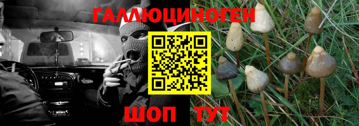 Псилоцибиновые грибы мухоморы  хочу   Вятские Поляны  Вход с VPN 